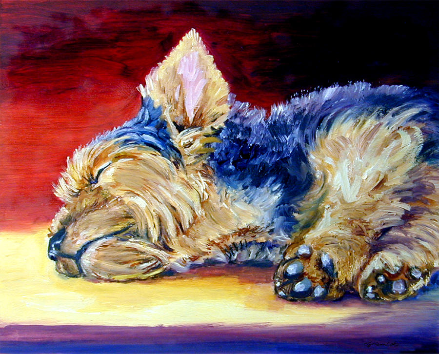 900x726 Warm Spot - Yorkie Painting