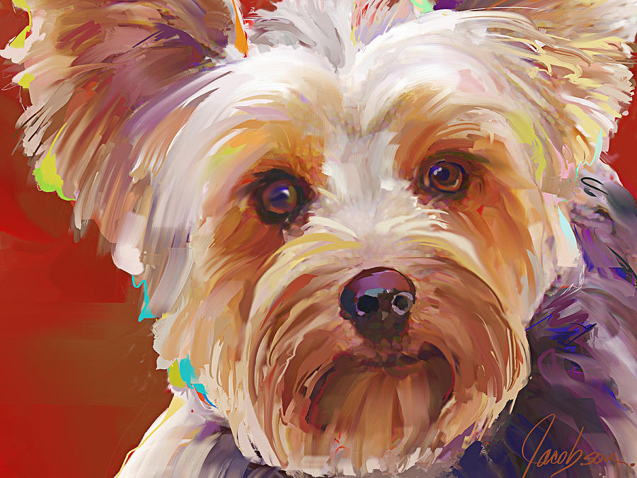900x675 Yorkie 6 Close Painting By Jackie Jacobson - Yorkie Painting