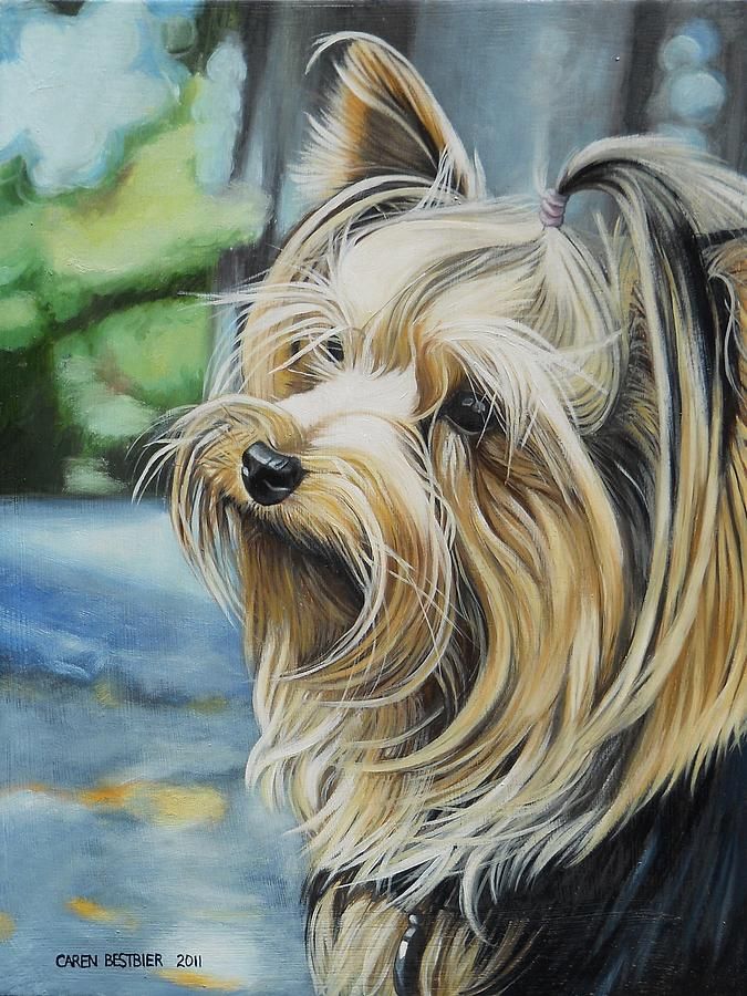 675x900 Yorkie Painting By Caren Bestbier - Yorkie Painting