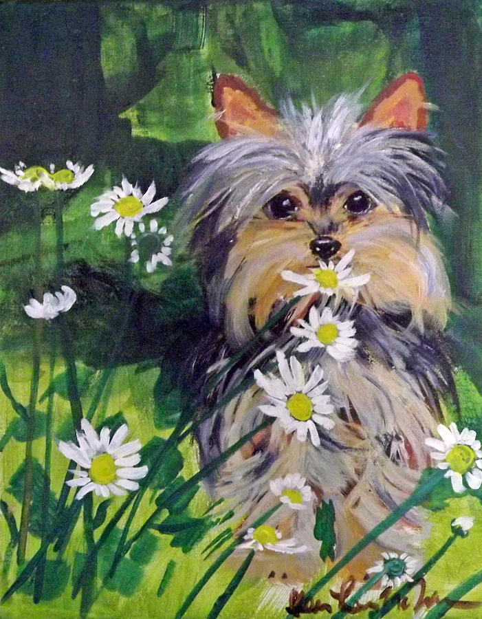 701x900 Yorkie Painting By Karen Mcnamara - Yorkie Painting