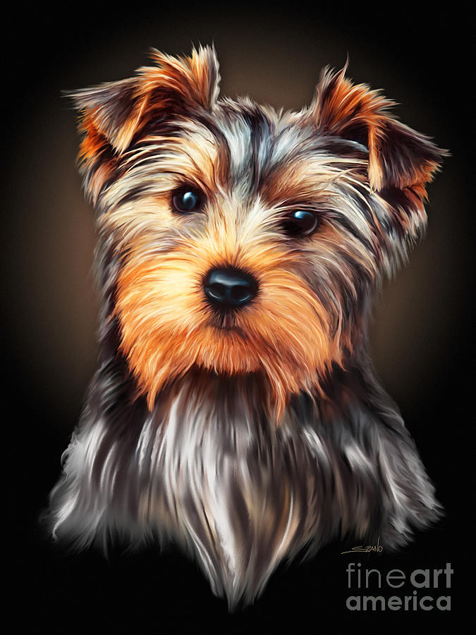 675x900 Yorkie Portrait By Spano Painting By Michael Spano - Yorkie Painting