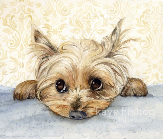 570x485 Yorkie Watercolor Painting Animal Art Yorkie Painting - Yorkie Painting