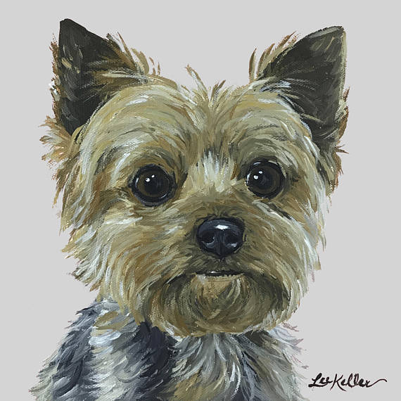 570x570 Yorkie Art Print From Original Yorkshire Terrier Painting - Yorkie Painting