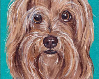 340x270 Yorkie Painting Etsy - Yorkie Painting