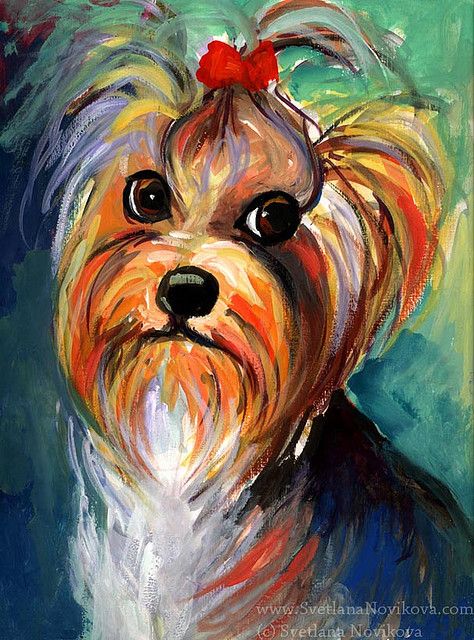 474x640 Yorkie Painting By - Yorkie Painting