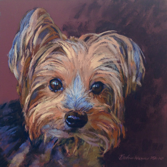 Yorkie Painting at PaintingValley.com | Explore collection of Yorkie ...