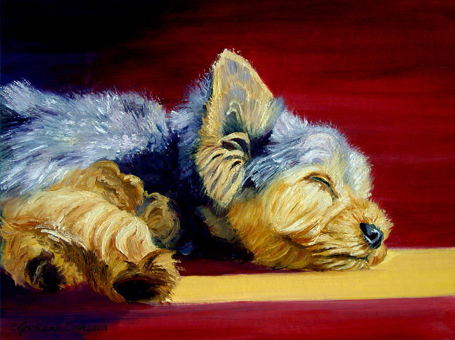 900x672 Sunny Patch Yorkshire Terrier Painting By Lyn Cook - Yorkshire Terrier Painting