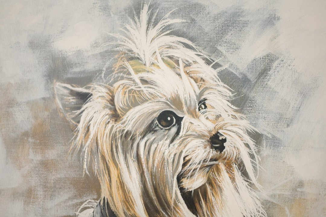 1080x721 Xl Yorkshire Terrier Painting - Yorkshire Terrier Painting