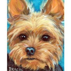 236x236 Yorkshire Terrier, Painting By Artist Norma Wilson Yorky - Yorkshire Terrier Painting