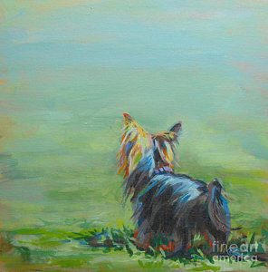 296x300 Yorkshire Terrier Paintings Fine Art America - Yorkshire Terrier Painting