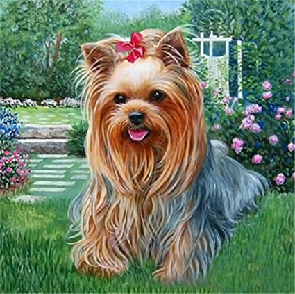 425x423 Yeesam Art New 5d Diamond Painting Kit - Yorkshire Terrier Painting