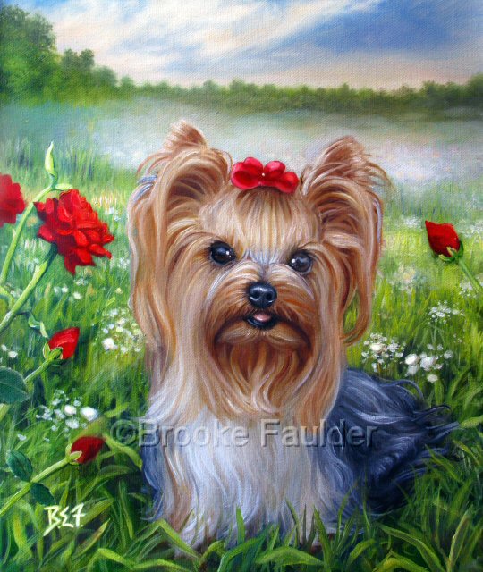 540x640 Dog Art Page 2 - Yorkshire Terrier Painting
