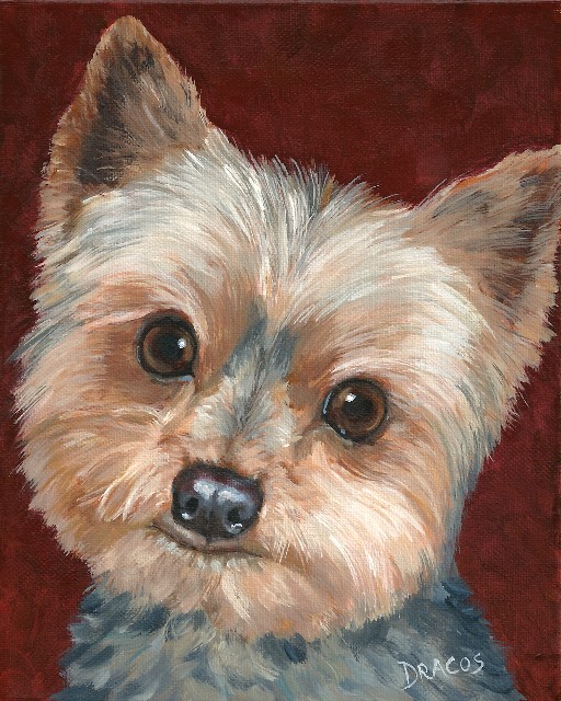 512x640 Dog Paintings (And Cat And Other Animals) By Dottie Dracos - Yorkshire Terrier Painting