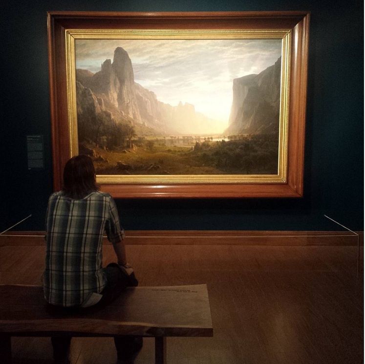 747x745 Birmingham Museum Of Art Visitors' View Albert Bierstadt - Yosemite Valley Painting Albert Bierstadt