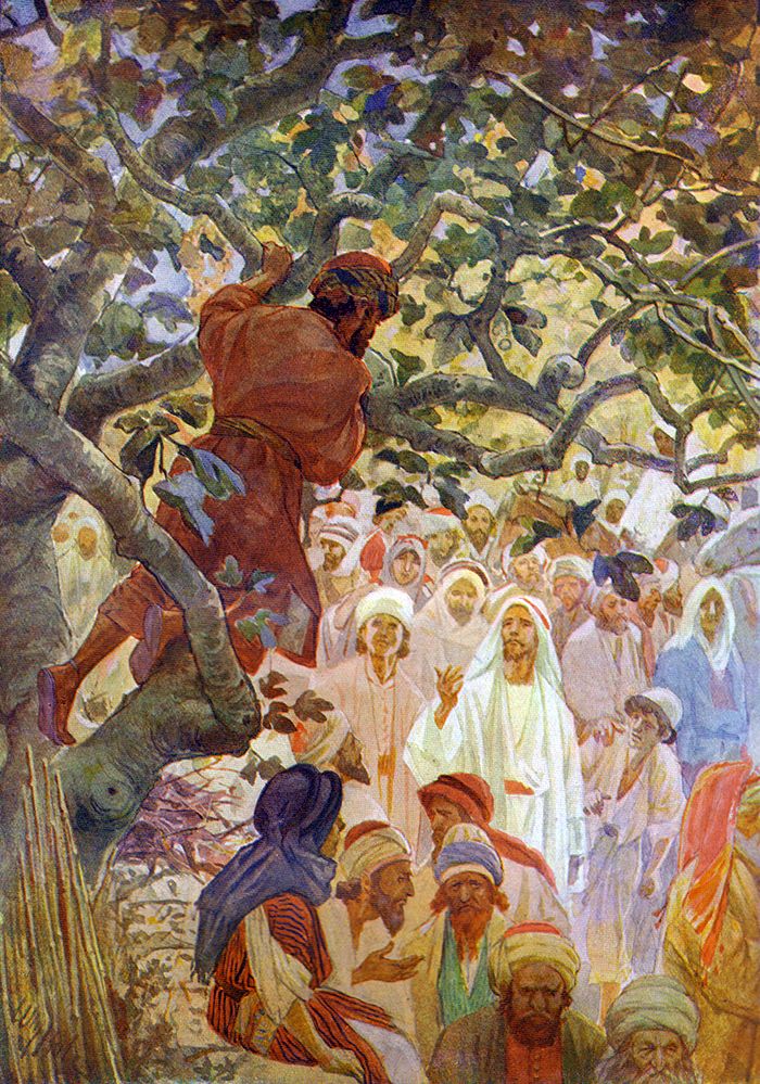 700x999 Zacchaeus In The Sycamore Tree By William Hole Art Profetico - Zacchaeus Painting