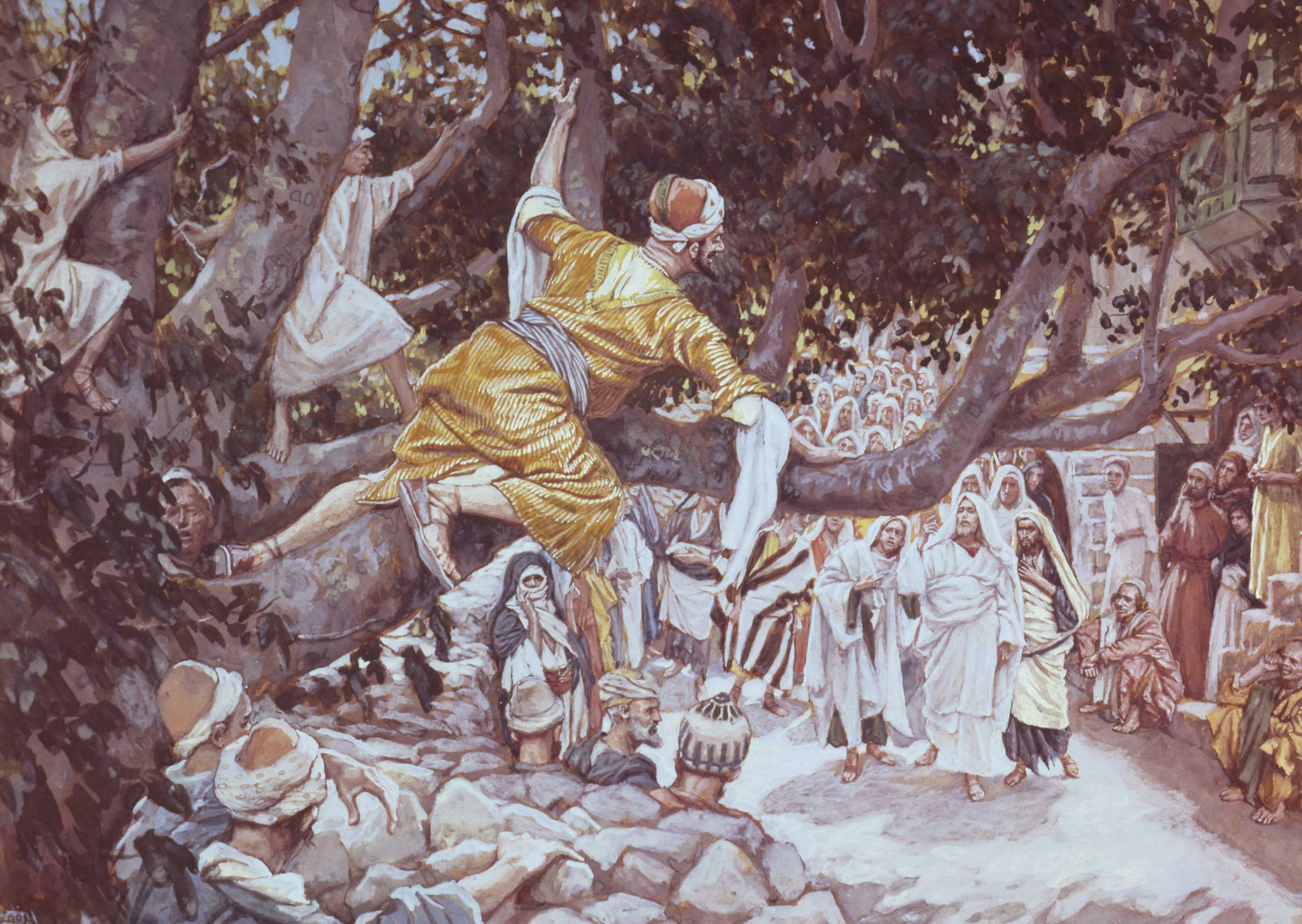 2255x1600 Zacchaeus In The Sycamore Tree - Zacchaeus Painting