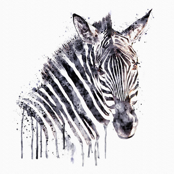 600x600 Zebra Head Art Print By Marian Voicu - Zebra Head Painting