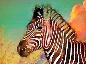 300x225 Zebra Head Paintings Fine Art America - Zebra Head Painting