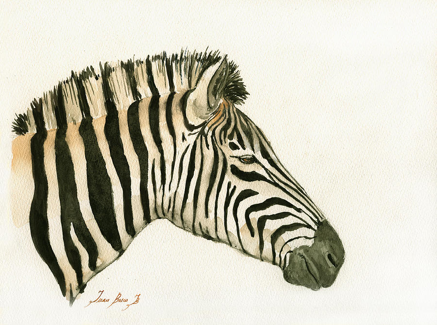900x670 Zebra Head Study Painting Painting By Juan Bosco - Zebra Head Painting