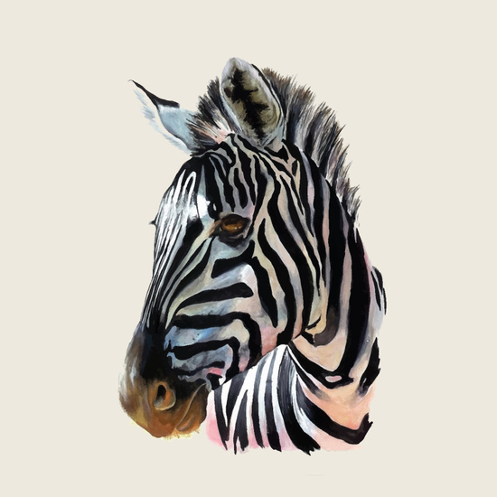 Zebra Head Painting At Paintingvalley.com 