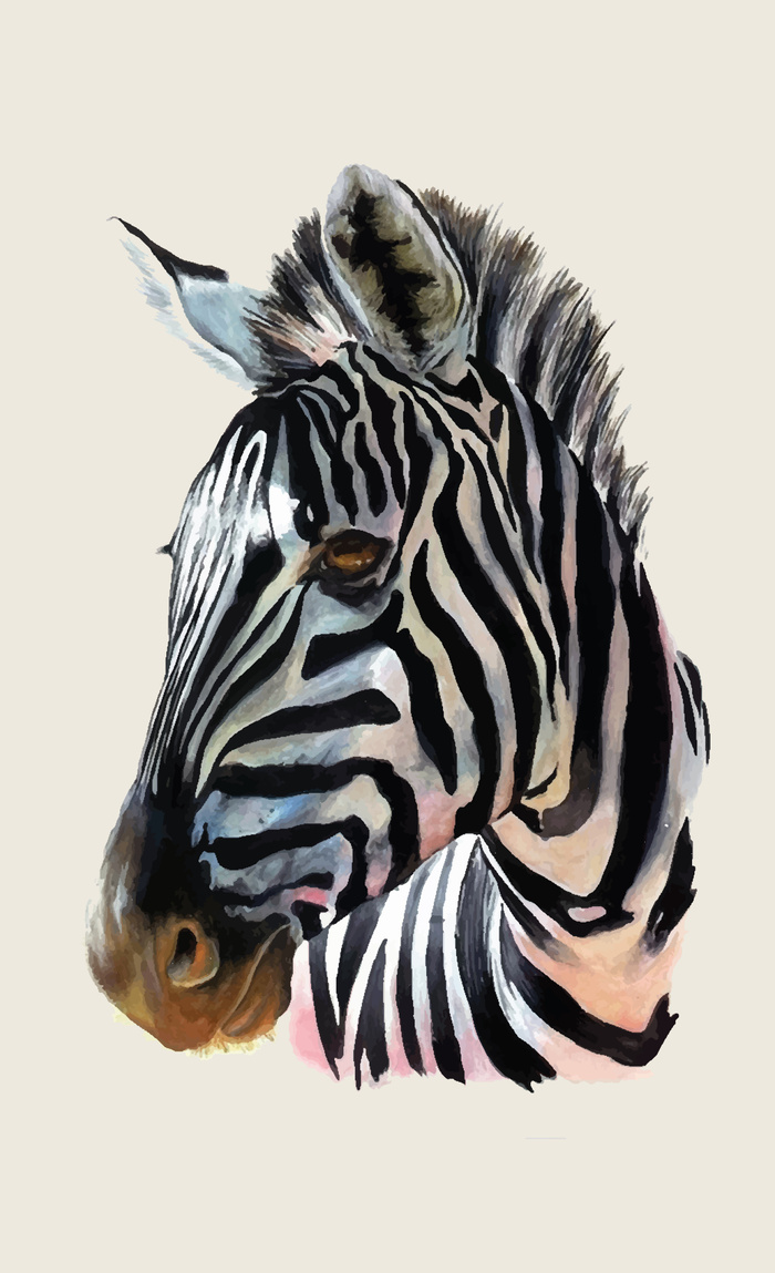 Zebra Head Painting at PaintingValley.com | Explore collection of Zebra ...