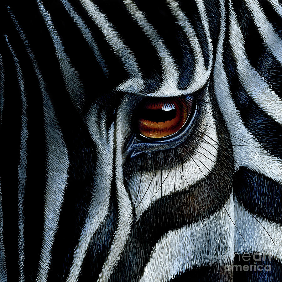 900x900 Zebra Paintings Fine Art America - Zebra Head Painting
