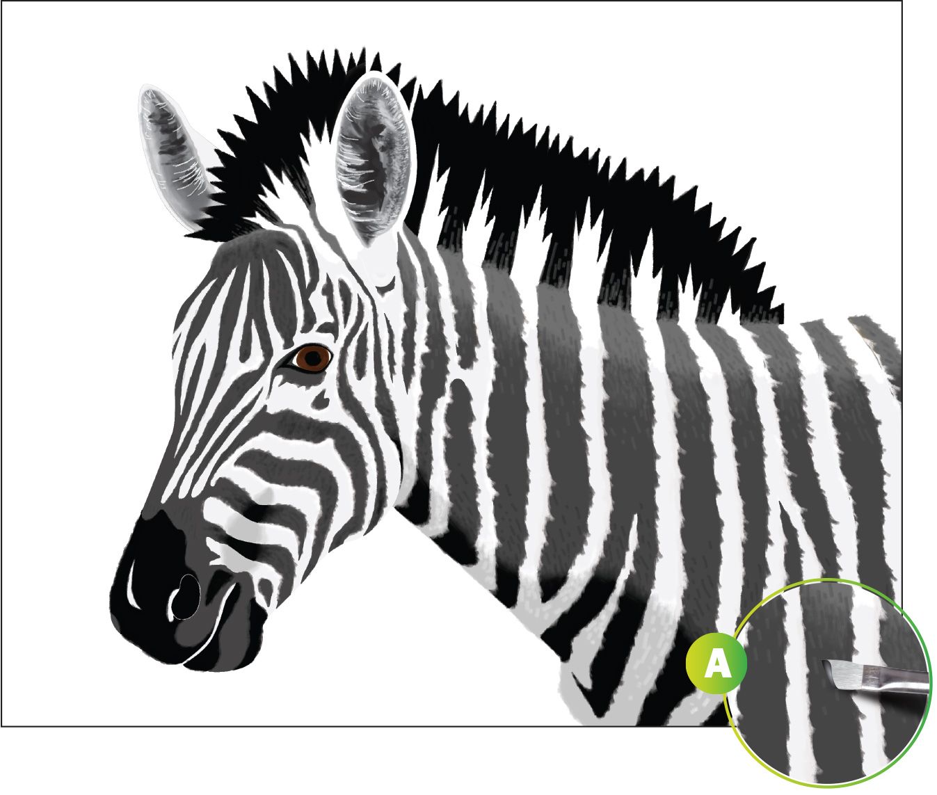 1347x1143 Acrylic Painting Safari Zebra Zebra Acrylic - Zebra Head Painting