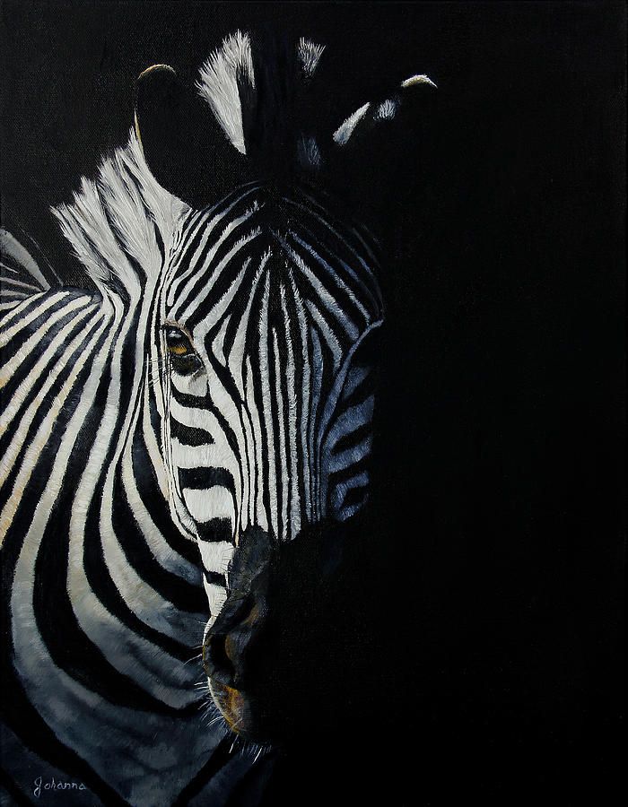 700x900 Into The Light - Zebra Oil Painting