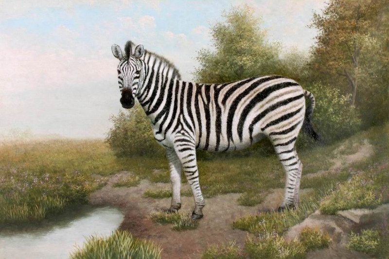 800x533 Zebra Oil Painting 24x36 Id2726 - Zebra Oil Painting