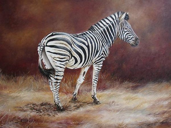 600x450 African Wildlife Oil Painting Gallery - Zebra Oil Painting
