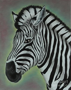 238x300 Zebra Oil Paintings - Zebra Oil Painting