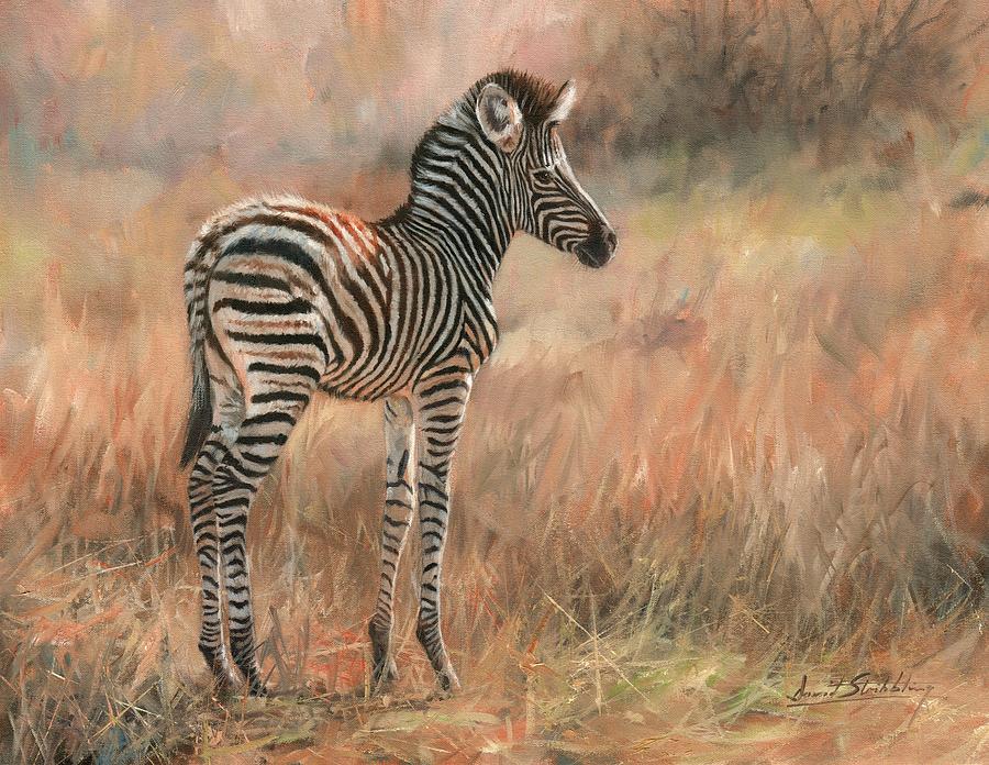 900x696 Zebra Oil Paintings Fine Art America - Zebra Oil Painting