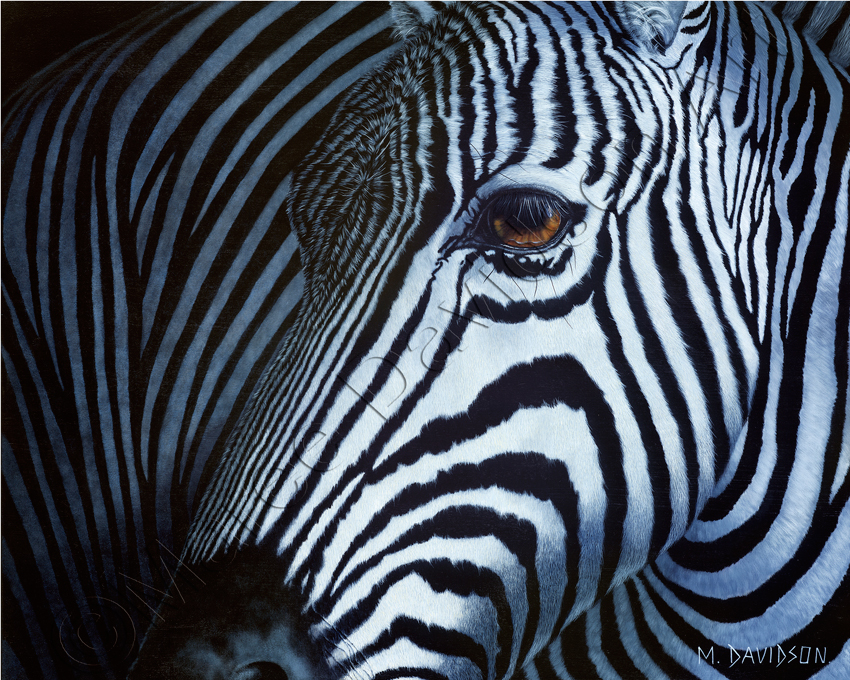 850x680 Arbez - Zebra Painting