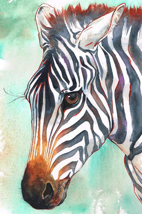 558x840 Zebra Original Painting Watercolor African Wildlife Art Black - Zebra Painting