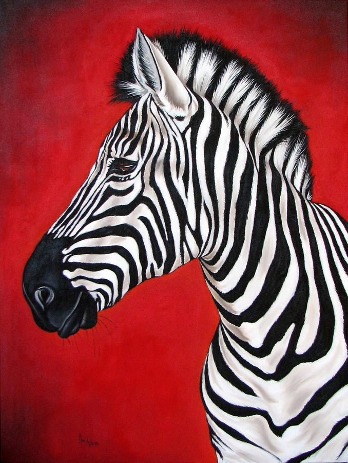 678x900 Zebra Painting By Ilse Kleyn - Zebra Painting