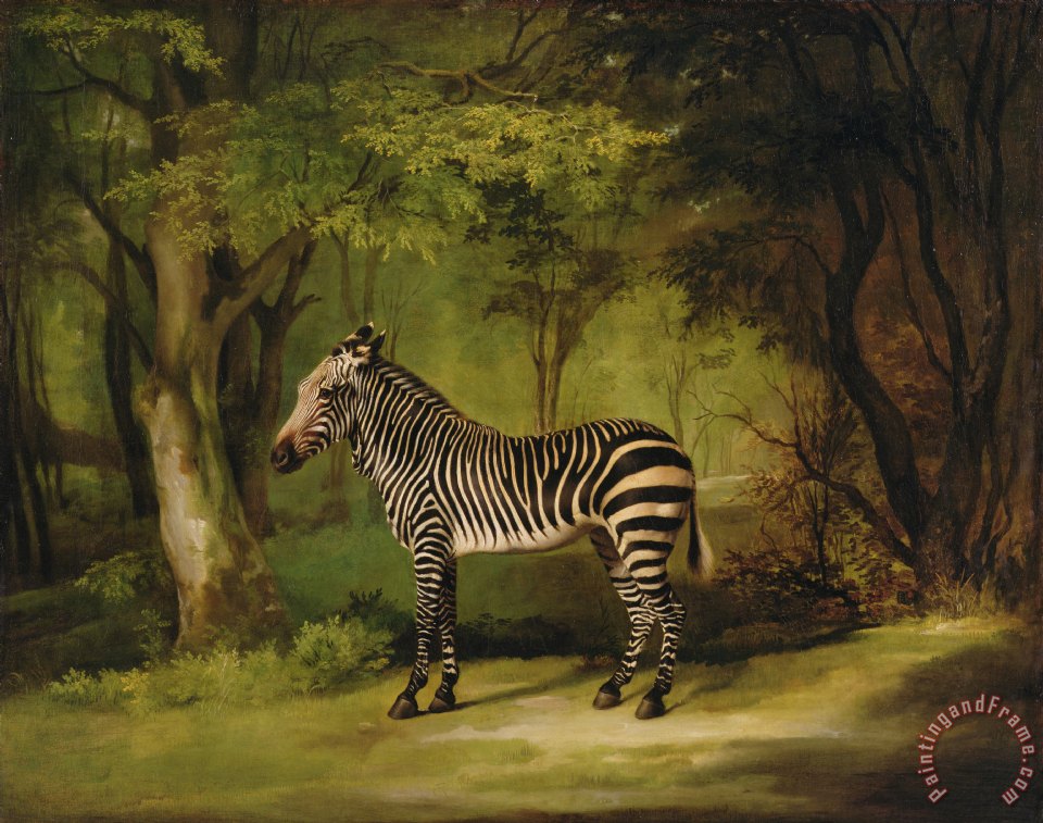 960x757 George Stubbs A Zebra Painting - Zebra Painting