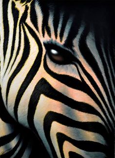 236x323 Pin By L@dy B@sil's Inspiring Colors Reyhan S.d. On Blue Amp Black - Zebra Painting On Canvas