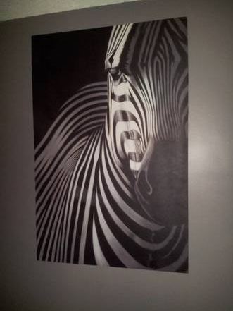 331x441 Wall Art Canvas Painting Picture - Zebra Painting On Canvas