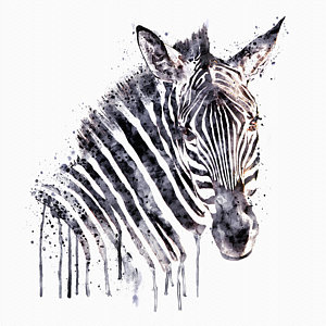 300x300 Zebra Paintings Fine Art America - Zebra Print Painting
