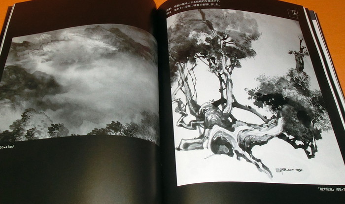 700x414 Japanese Ink Wash Painting Master Technique Of Water Book Japan - Zen Water Painting