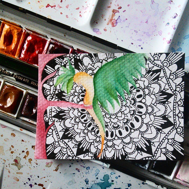 640x640 Zentangle Watercolour Ink Drawing Painting Bird Na By Curious Ruby - Zentangle Painting