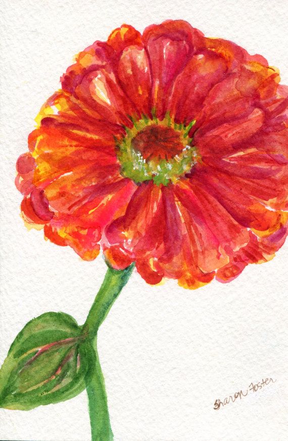 570x871 Zinnia Watercolor Painting Original, Small Flower Art, 4 X 6 - Zinnia Flower Painting