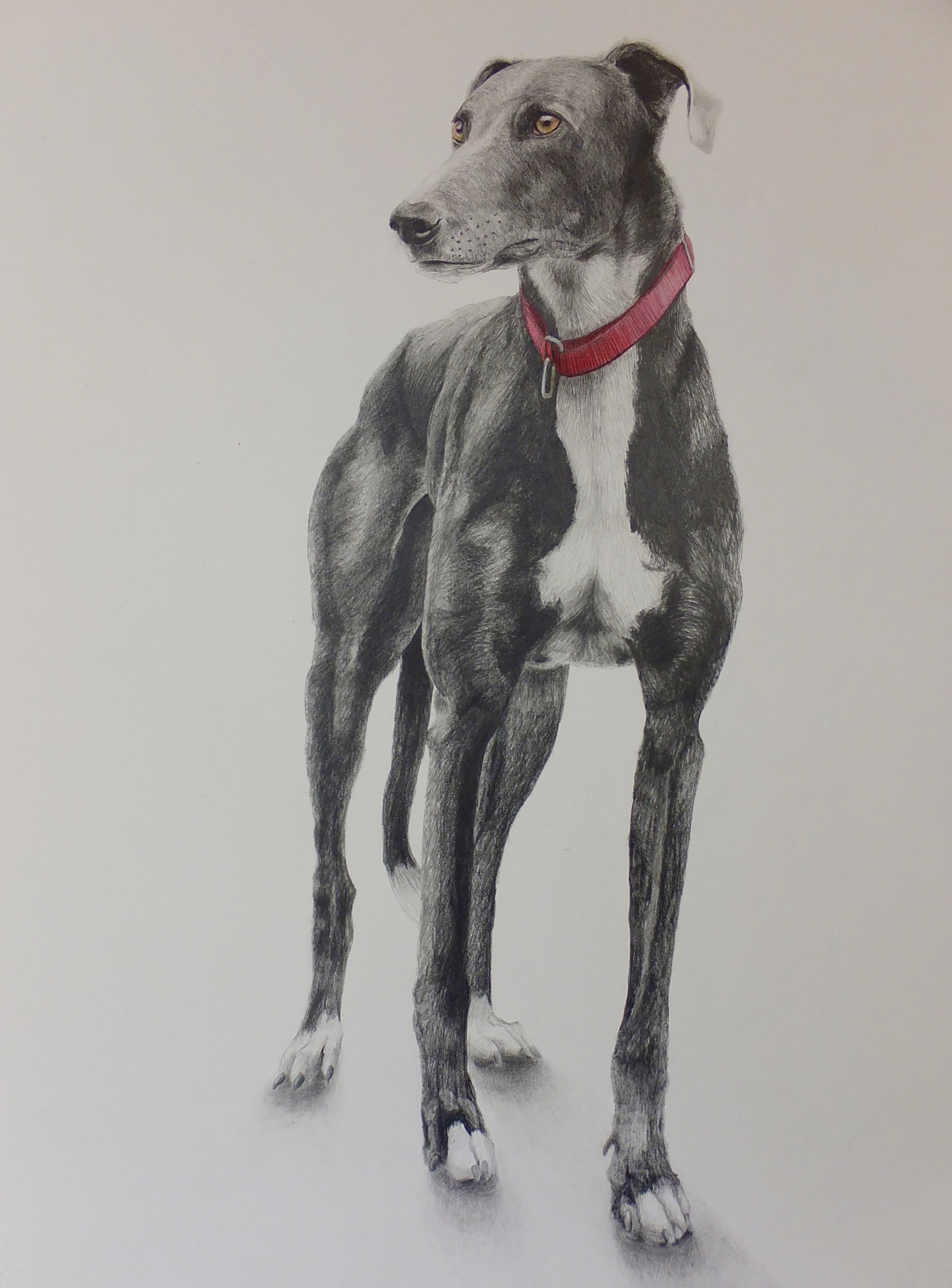 3026x4093 Zorro's Drawn And Painted Portraits - Zorro Painting