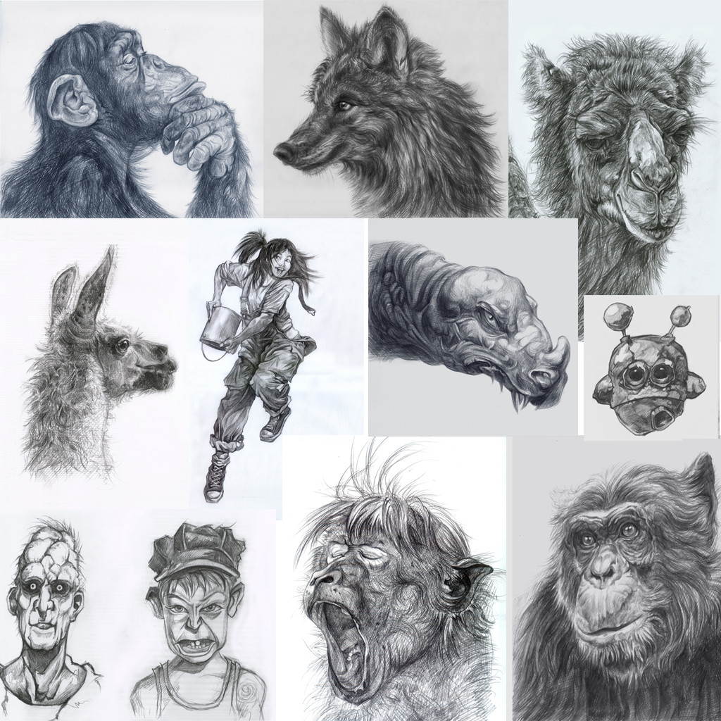 1024x1024 Tiger Z - 007 Sketch