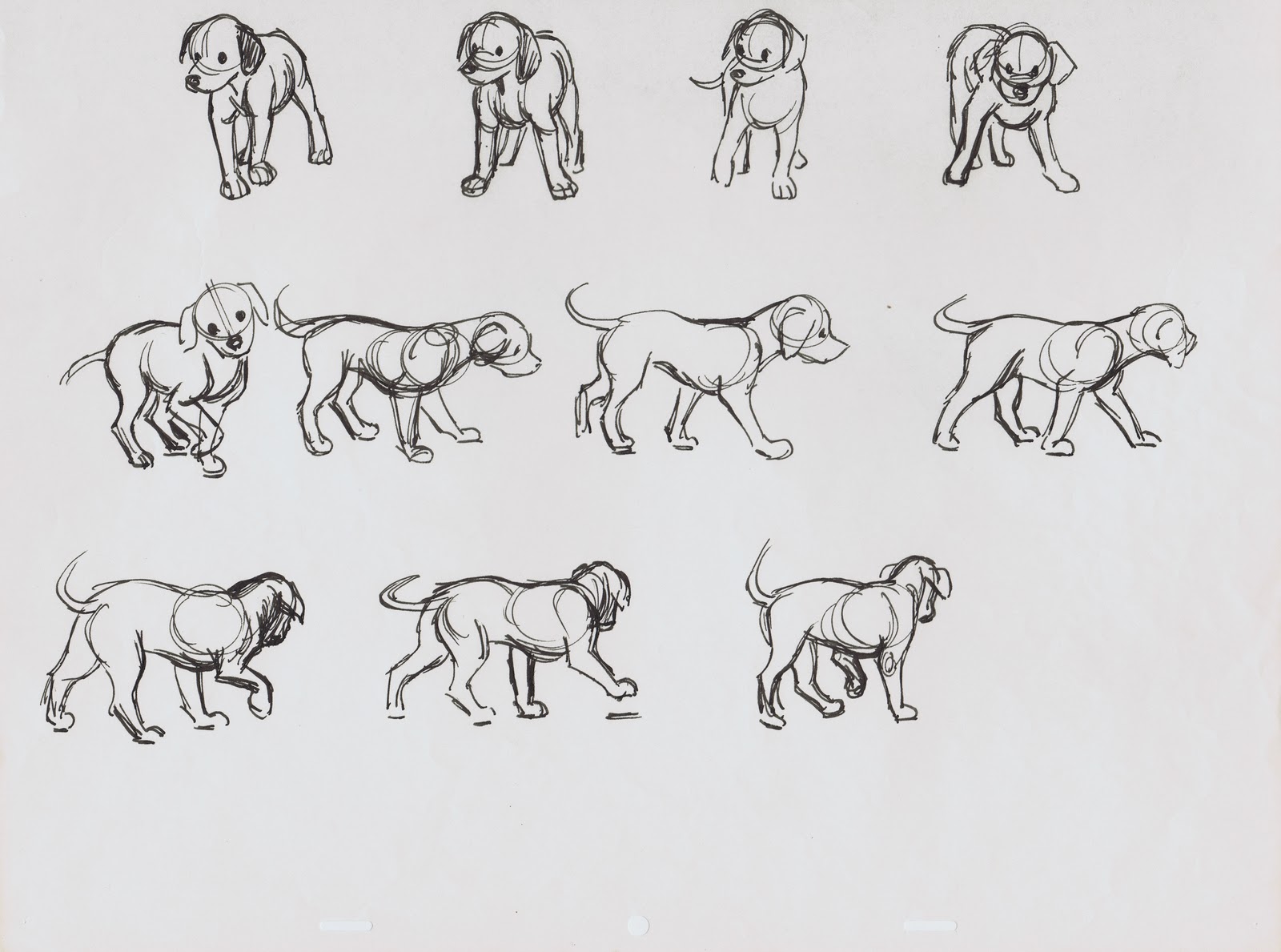 1600x1189 Deja View Dalmatians - 101 Dalmatians Sketch