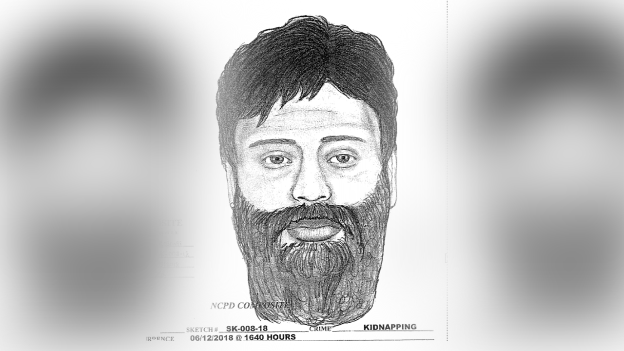 1280x720 Sketch Released In Search For 2 Suspects Who Attacked Young Girls - 2 Girls Sketch
