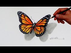 Download 3d Butterfly Sketch At Paintingvalley Com Explore Collection Of 3d Butterfly Sketch