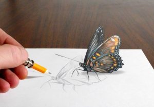 300x210 Butterfly 3d Picture Drawing Butterfly 3d Sketch - 3d Butterfly Sketch