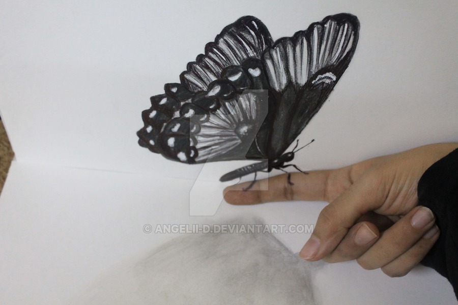 900x600 Butterfly 3d..3 By Angelii D - 3d Butterfly Sketch
