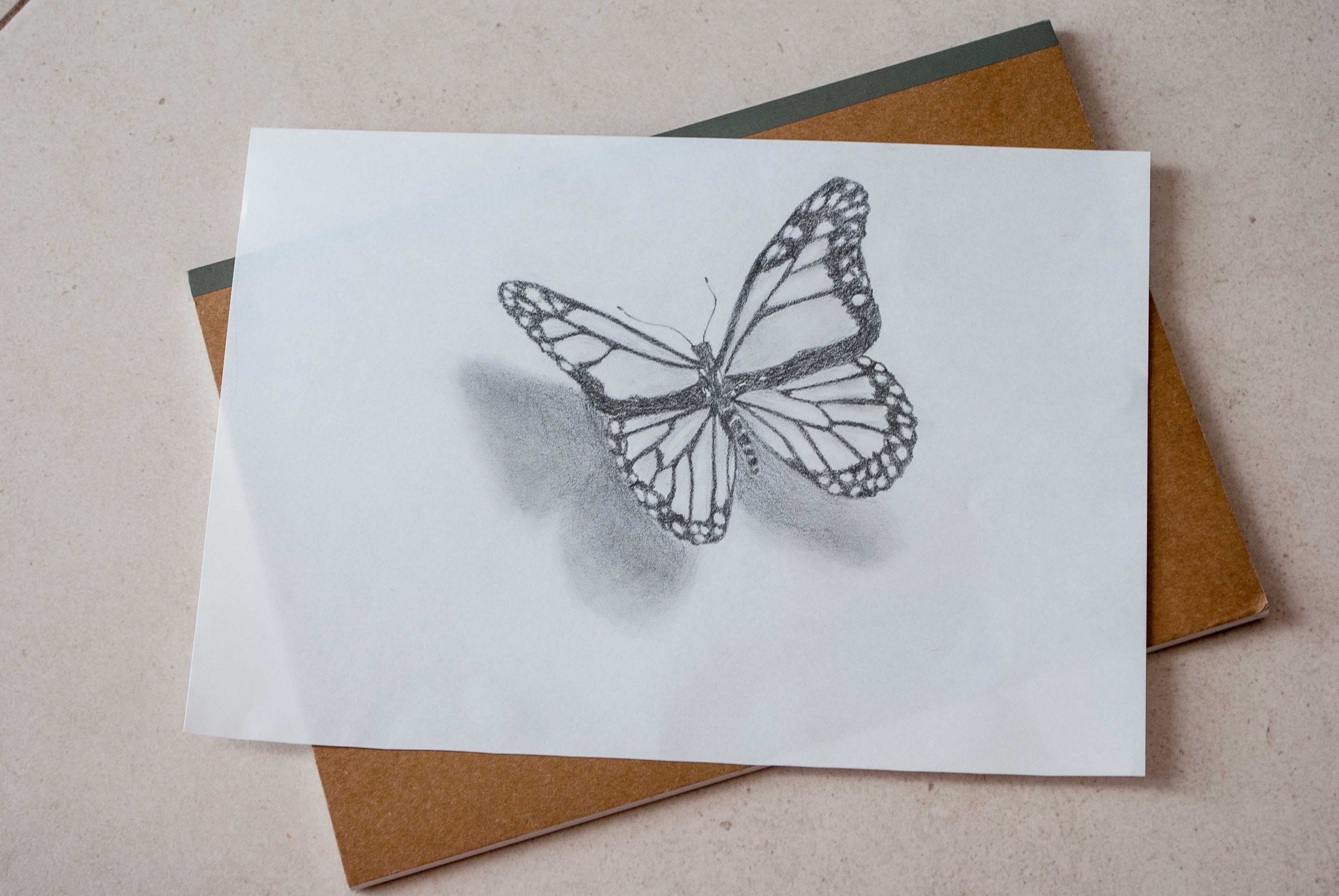 Download 3d Butterfly Sketch At Paintingvalley Com Explore Collection Of 3d Butterfly Sketch